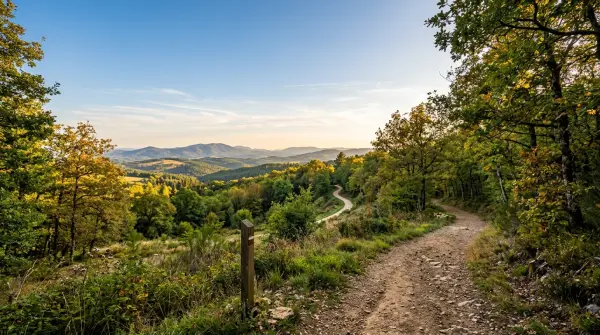 Rando célibataires — Dans les bois à l'Est et au Sud de Bouloc