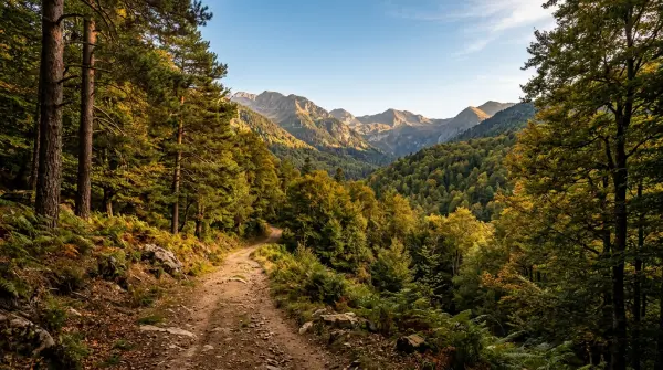 Rando célibataires — Forêt de Génat - Itinéraire n°2