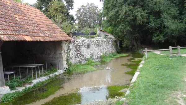 Les Eaux Bleues de Tavers et le dolmen la Pierre Tournante à Tavers