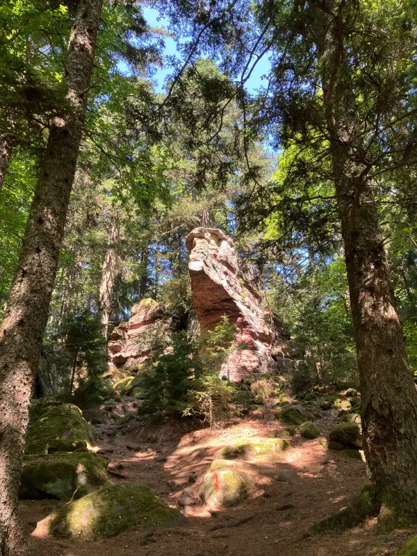Randonnée au Taennchel et au mur païen