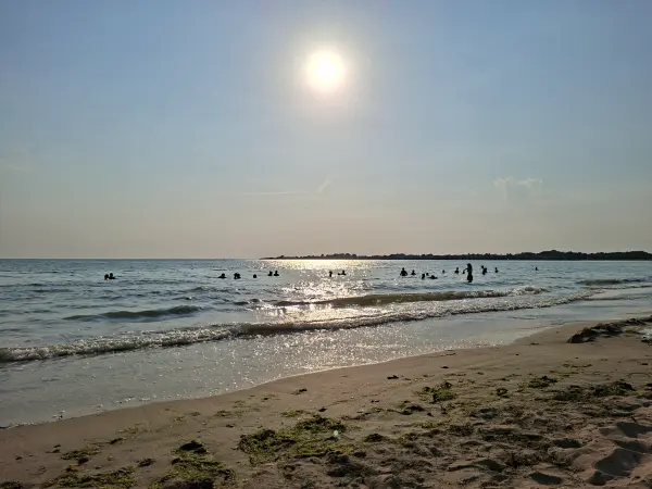 JOURNÉE PÊCHE À PIED ET DÉGUSTATION