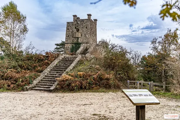 RANDO SOFT – SENTIER DE LA TOUR DENECOURT , FONTAINEBLEAU (77)