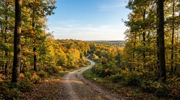 Rando célibataires — Sentier des Sources dans la Forêt d'Orléans