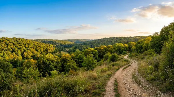 Rando célibataires — Du parc de Sceaux à la forêt de Meudon par le parc de la vallée aux loups