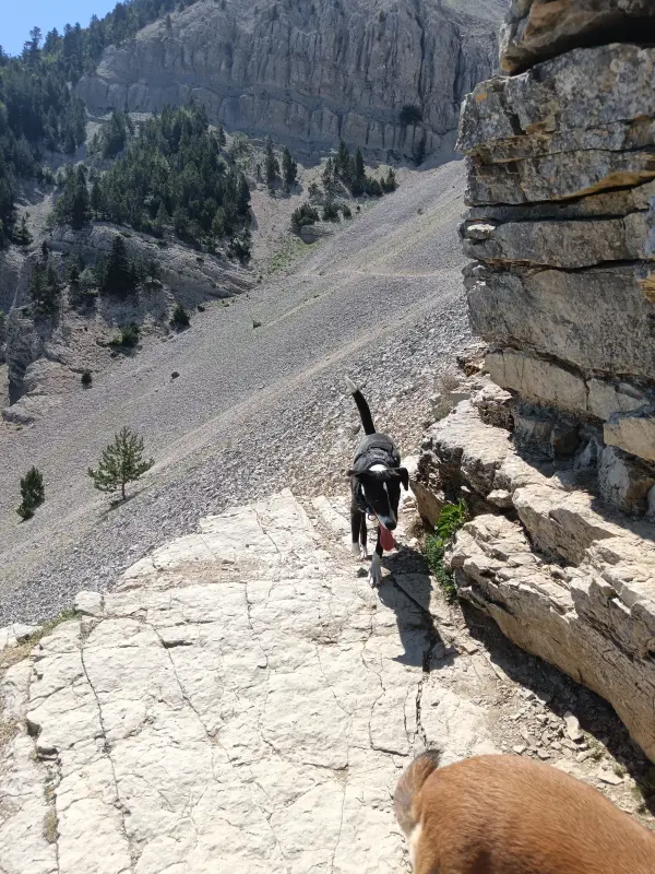 Balcon nord du Ventoux