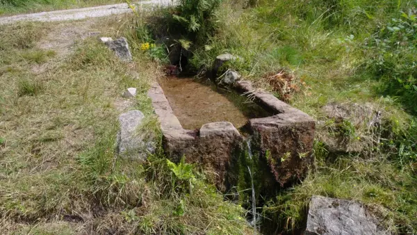 Fontaine Saint-Augustin, Col du Singe et tourbière de l'Abîme à Le Tholy