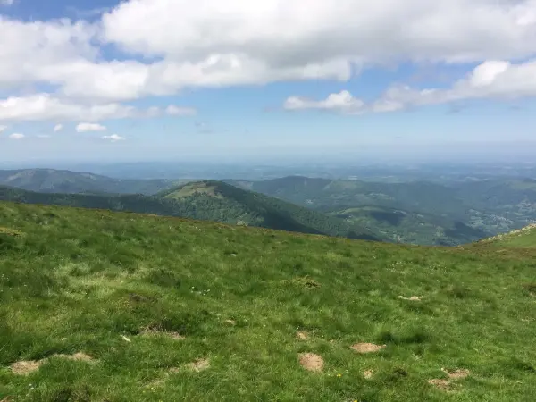 PROJET grp la barguillère