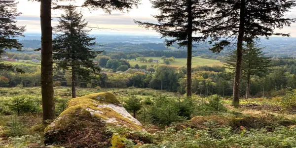 Le Mont Bessou