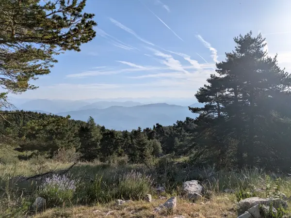 Boucle par la Croix de Verse, Jérusalem et la Cime du Cheiron à Alpes-Maritimes