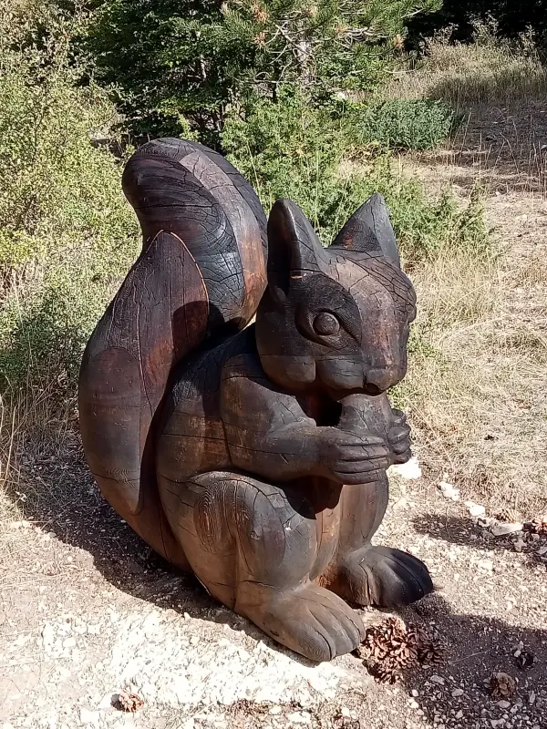 rando mont ventoux