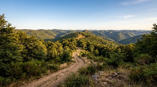 Rando célibataires — Traversée des forêts de la ligne de partage des eaux en Languedoc