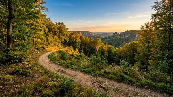 Rando célibataires — Route 2/Étape 1 : Mullerthal - Echternach