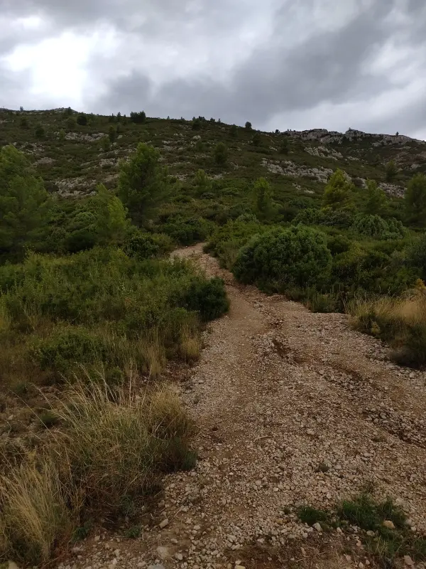 Cabane de Tuny à Gémenos