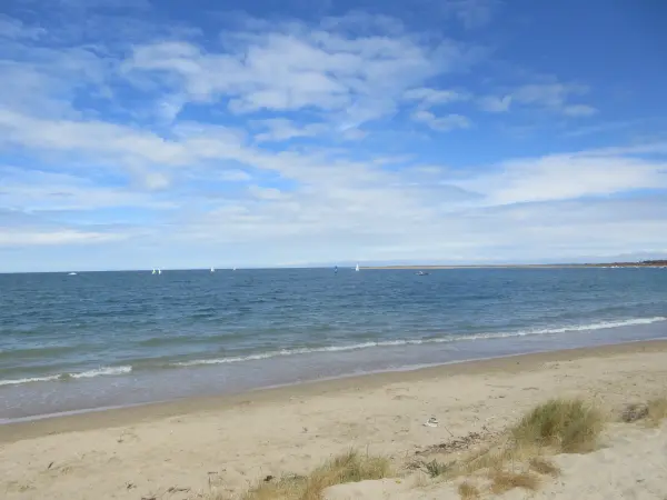 Depuis Amfreville