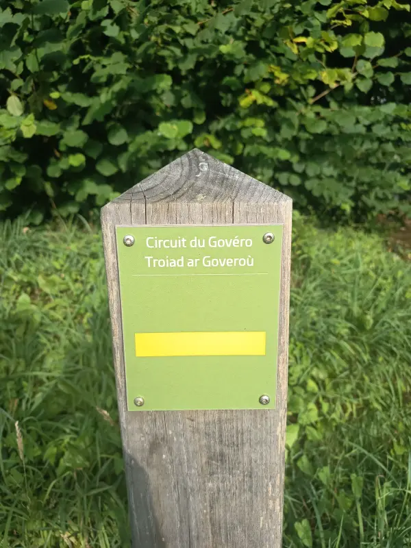 Randonnée dans les landes de Lanvaux