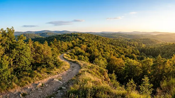Rando célibataires — Autour de la Forêt Régionale des Vallières