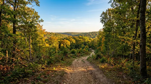 Rando célibataires — Tour de la Forêt de l'Isle-Adam