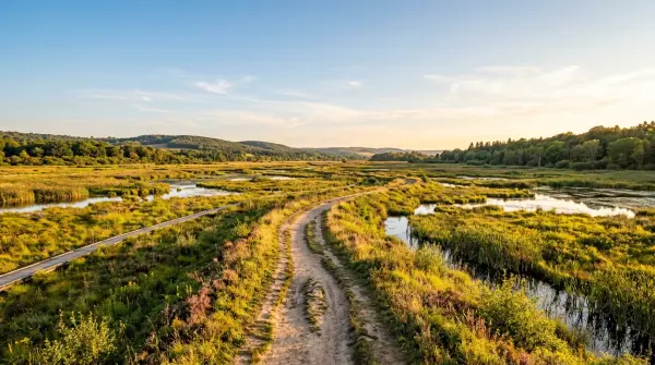 Rando célibataires — La Réserve Naturelle du Marais de Reuves
