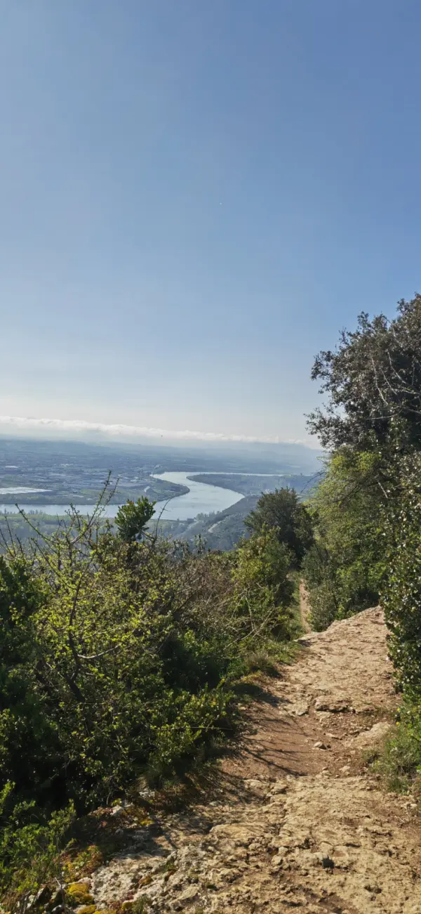 Forêt, crêtes et château sur la Montagne de Crussol à Saint-Péray