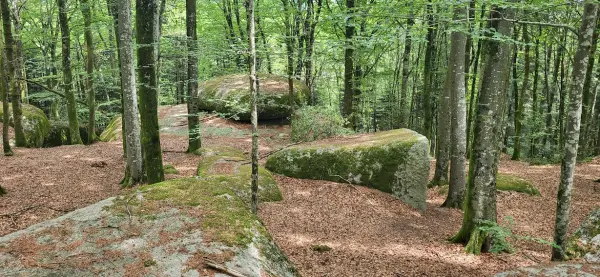 La ronda del Peraire à Saint-Salvy-de-la-Balme à Saint-Salvy-de-la-Balme