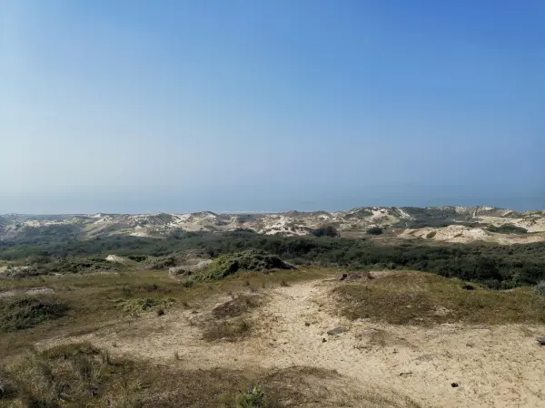 Entre dunes et forêt à Écault à Condette