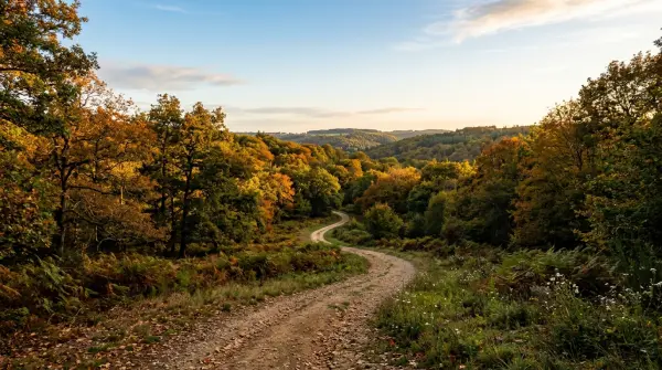 Rando célibataires — Petite boucle dans les bois de Brizambourg
