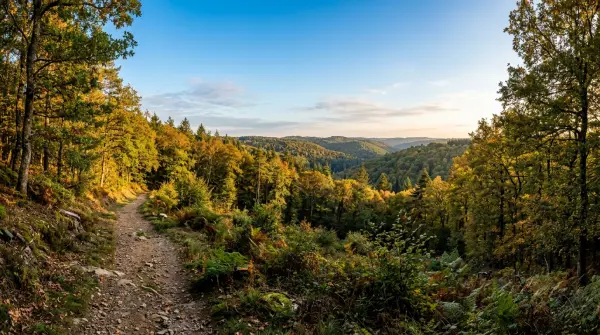 Rando célibataires — Dans les forêts de Sainte-Geneviève