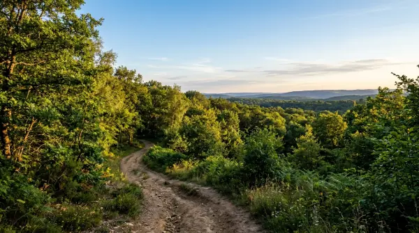 Rando célibataires — La Forêt Régionale de Bondy depuis Vaujours