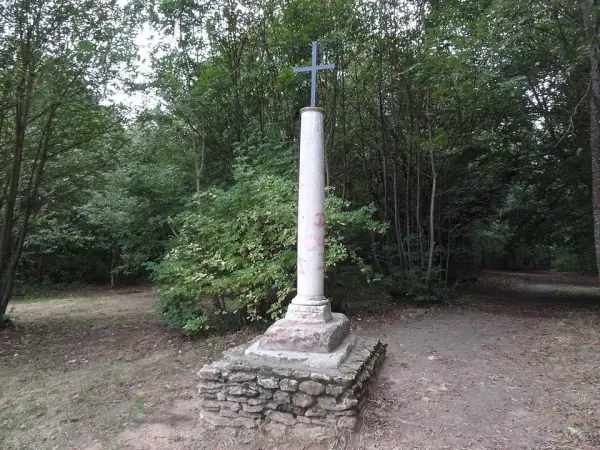 Grande boucle à travers la forêt de Marly