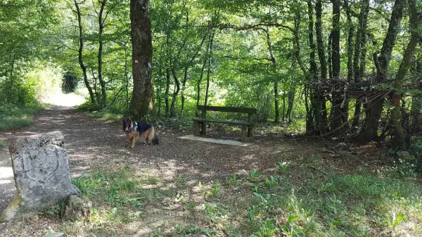 Petite balade sur les hauts d'Essert à Essert