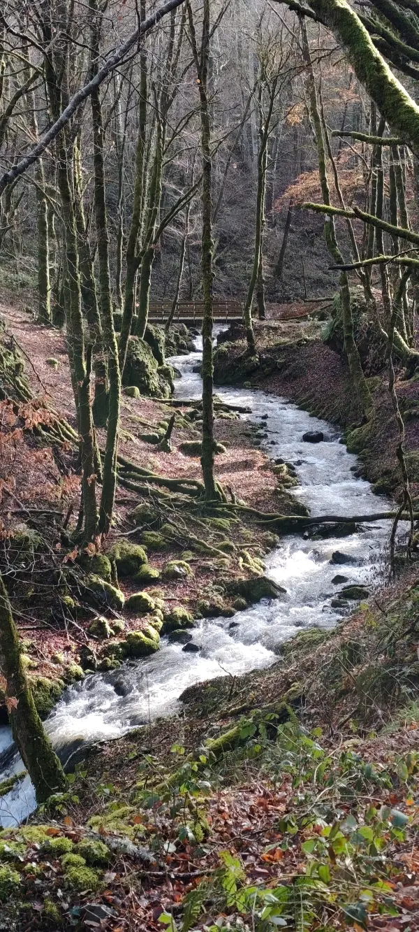 Belvédère de Chastel et vallée du Violon