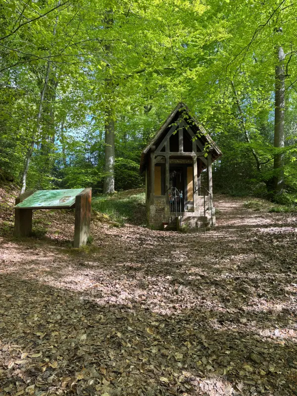Randonnée autour de Saint Saens