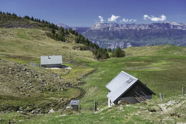 Crêt du Poulet, Grand Rocher et Col du Merdaret en boucle à Theys