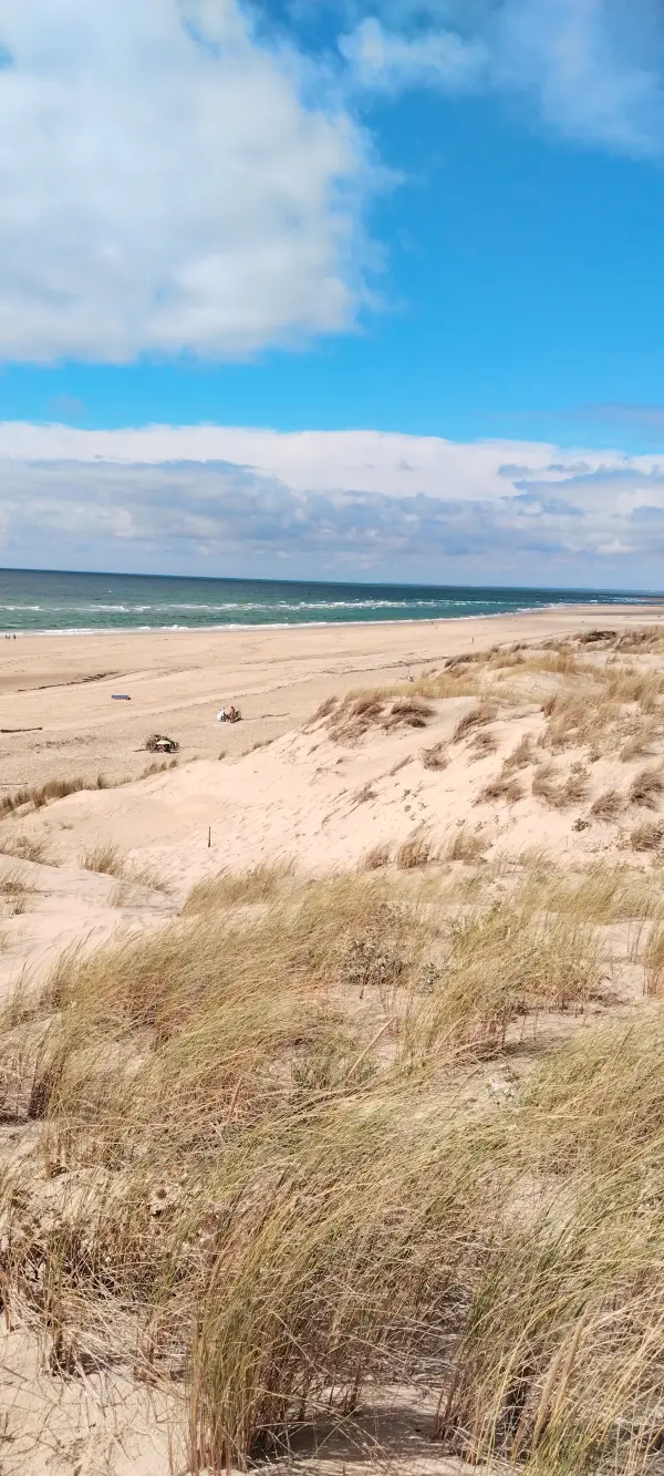 Rando 15 km à Oléron Saint Trojan vendredi 16 oct 14h 🏖️