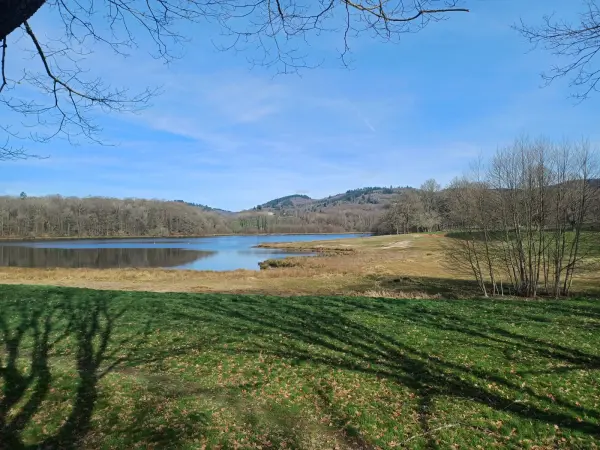 Vallons et forêts des monts d'Ambazac depuis l'Étang de Jonas à Ambazac