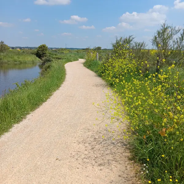 Mer et marais en Forêt d'Olonne à Olonne-sur-Mer
