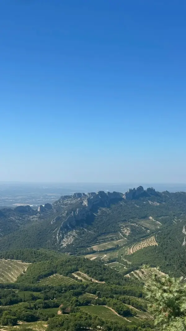 Les dentelles de Montmirail