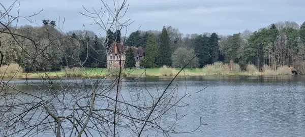 Forêt de Paimpont, le circuit des deux lacs.