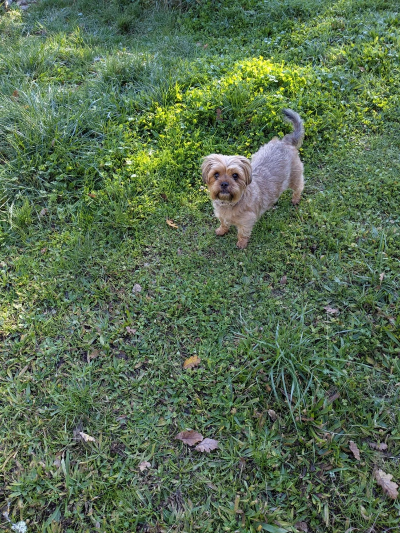 Valerie