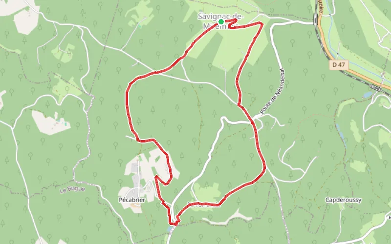 Tracé du parcours Boucle de la Ferrassie