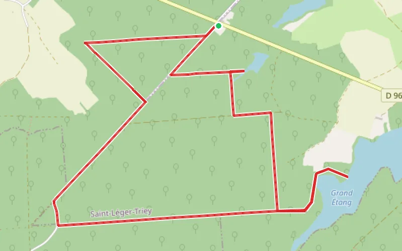 Tracé du parcours Entre sommières et étangs de la Forêt de Saint-Léger