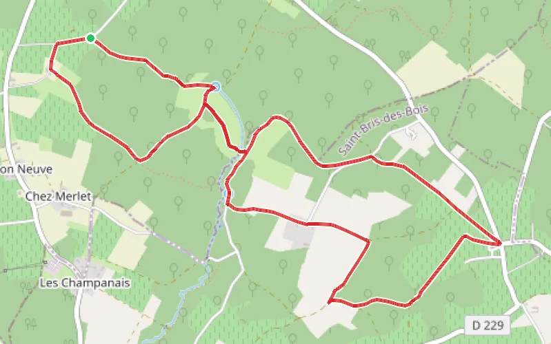 Tracé du parcours Petite boucle dans les bois de Brizambourg