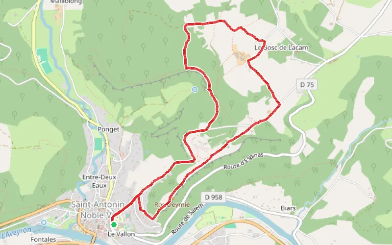 Tracé du parcours Cirque de Nibousou à Saint-Antonin-Noble-Val